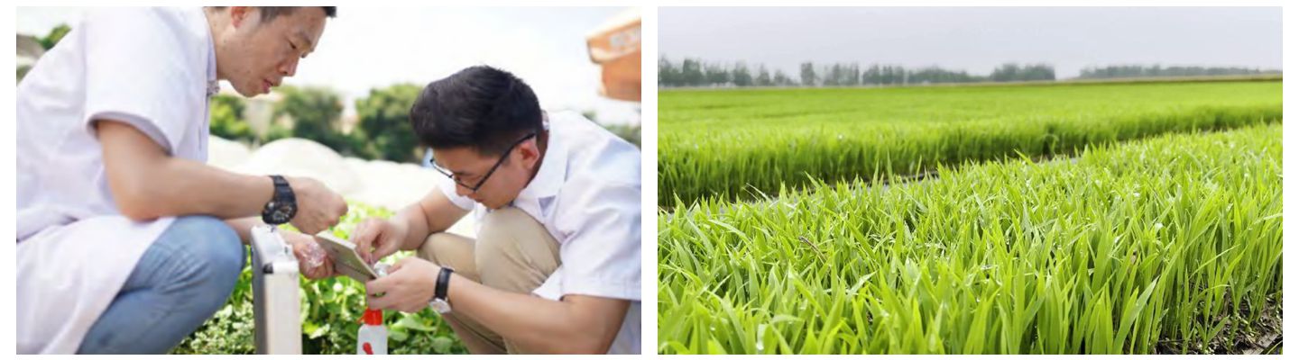 1000_副本_副本_副本_副本.jpg 1000_副本_副本_副本_副本.jpg